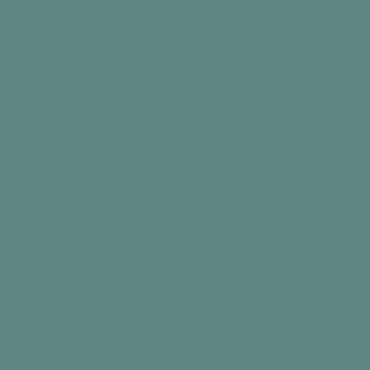 Everyday Shorts - Leafy Green